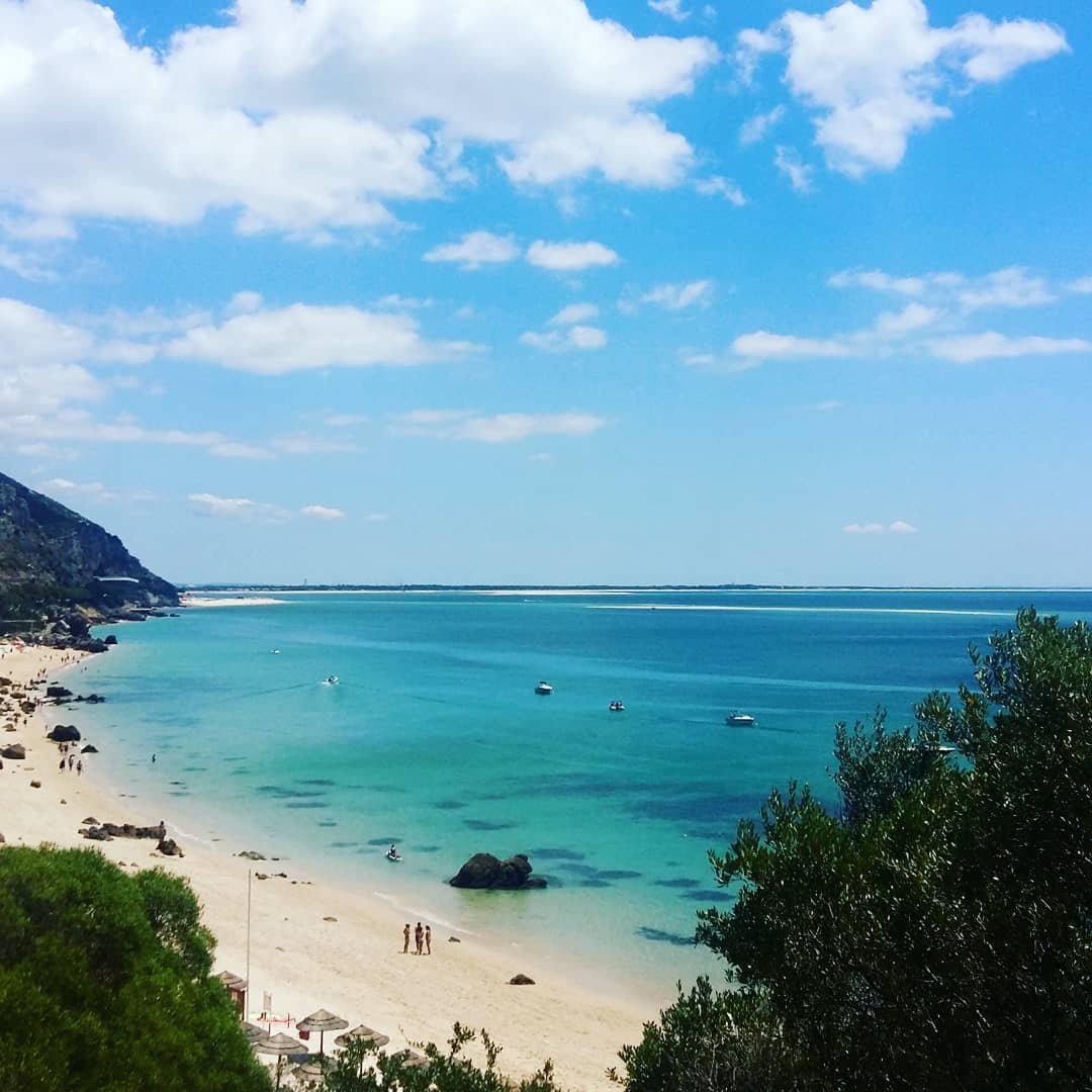 Praia Dos Galapinhos A Paradisíaca Praia Da Arrábida Onde Os Javalis Também Vão A Banhos 3099