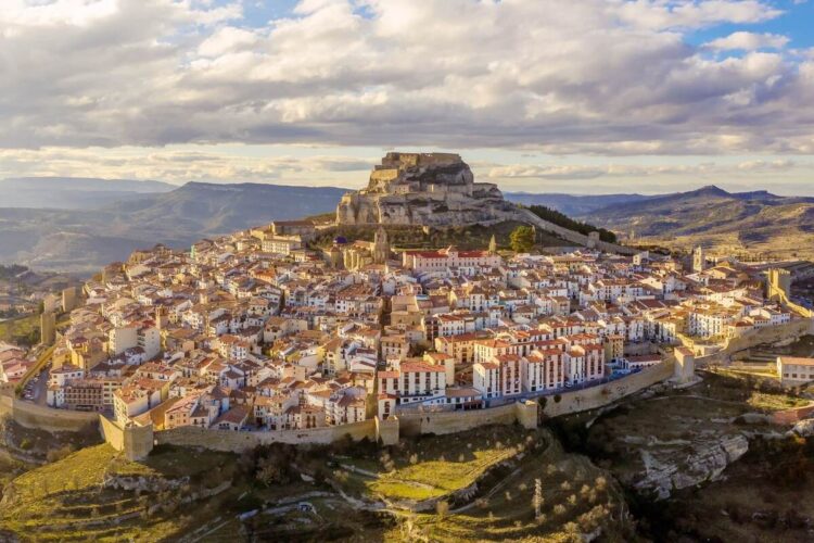 Morella