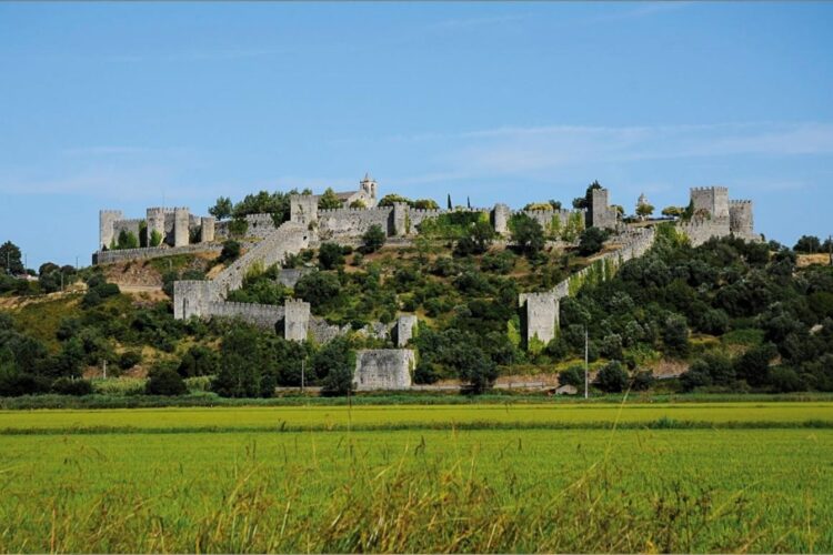 castelo de Montemor-o-Velho